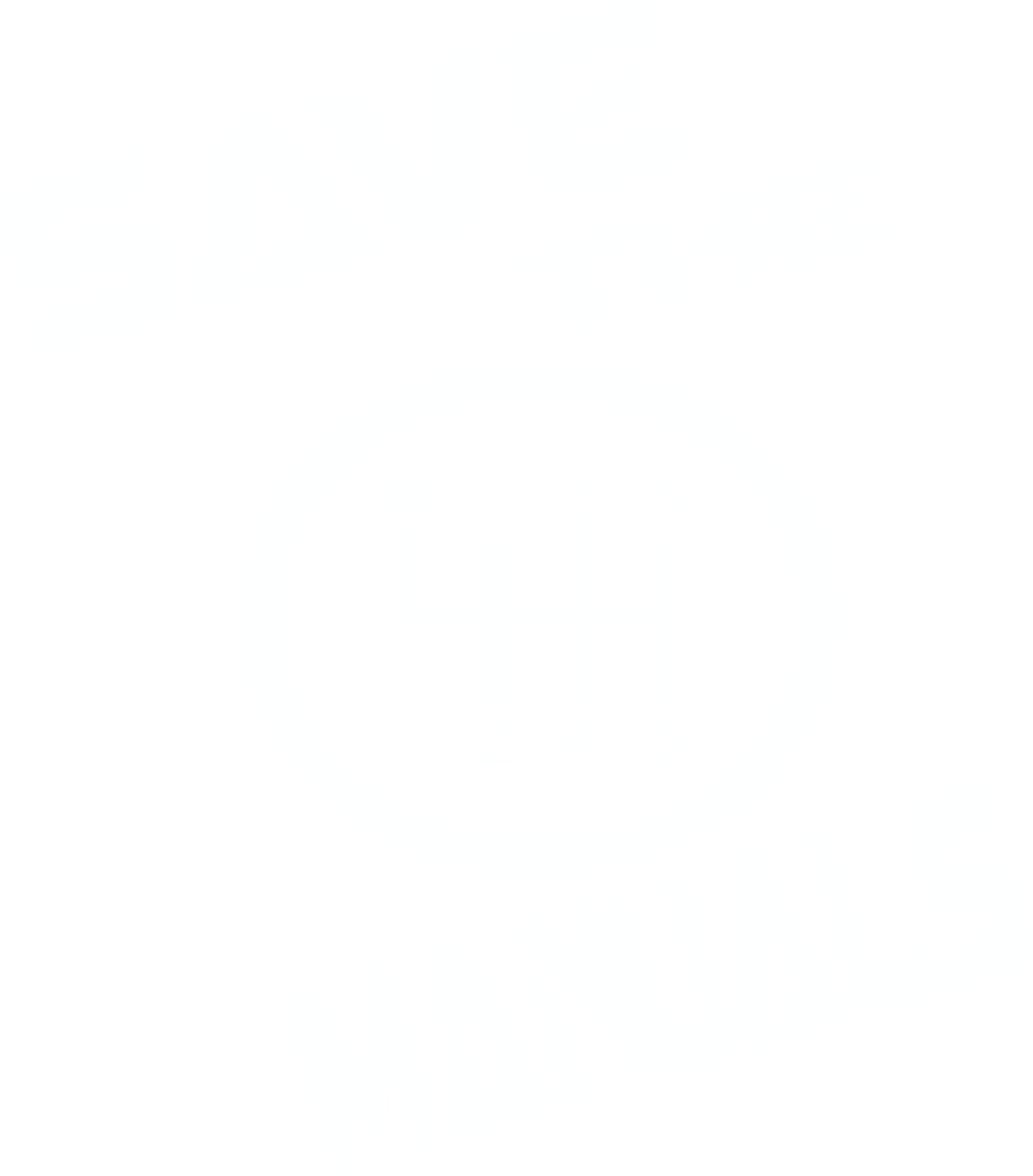 Save the Manual's T-shirt